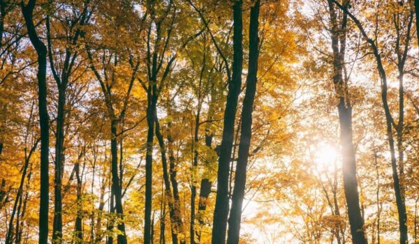 Il maltempo molla la presa, torna l’anticiclone e salgono le temperature: la tendenza dei prossimi giorni