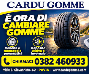 Cardu Gomme Pavia