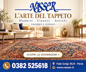 Nasser Pavia – Tappeti, lavaggio e restauro